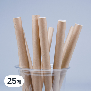 대성산업 크라프트 종이 스트로우 12 x 210 mm, 25개, 250개입