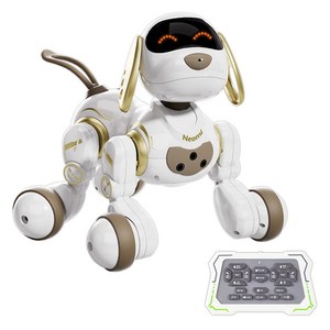 로보사이언 음성인식 네오미 AI 로봇 + 무선리모컨 세트, 혼합색상, 1세트