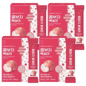데이앤 콤부차 복숭아, 5g, 10개입, 4개