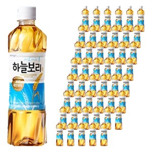 하늘보리, 500ml, 48개