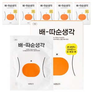 바른생각 파스형 배 따순 생각 핫팩 5p, 6개