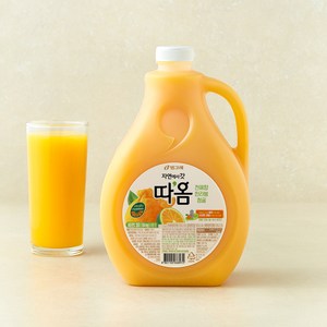 따옴 천혜향&한라봉&청귤 주스, 2.3L, 1개