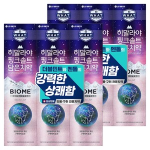 히말라야핑크솔트 담은 바이옴 잇몸 구취전문 치약, 100g, 6개