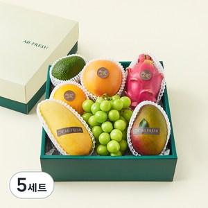 올프레쉬 과일소믈리에 제철과일 혼합선물 4호 + 선물용 가방, 2.41kg, 5세트