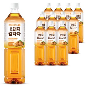 광동제약 돼지감자차, 1.5L, 12개