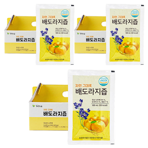 바른먹거리자연식품 자연그대로 배도라지즙, 100ml, 90개