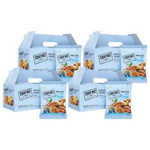 투데이넛 너트한줌 프리미엄 견과 선물세트 30개입 600g, 4세트