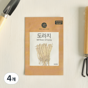 프레시가든 프리미엄 채소씨앗 도라지, 단품, 4개