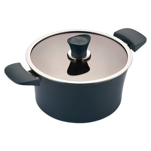 해피콜 인덕션 이든 곰솥냄비, 24cm, 스투키 그린, 1개