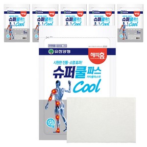해피홈 슈퍼쿨파스, 6개