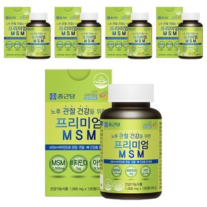 종근당 프리미엄 MSM 120g, 120정, 5개