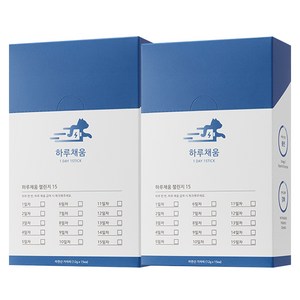 프로젝트21 고양이 하루채움 종합영양제 가자미맛, 12g, 2개
