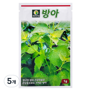 다농 방아 씨앗 1g, 5개