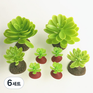 비투윈 나약성 나무화분 가구 세트, 다육5, 6세트