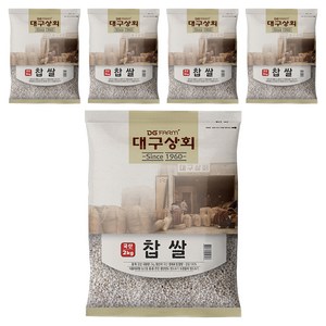 대구상회 국내산 찹쌀, 10kg, 1개