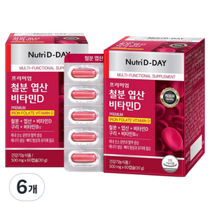 뉴트리디데이 프리미엄 철분 엽산 비타민D 30g, 60정, 6개