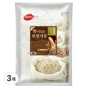햇쌀마루 빵이되는 보릿가루, 3kg, 3개