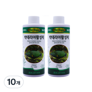 국제프리츠 원터치 박테리아활성제, 250ml, 10개