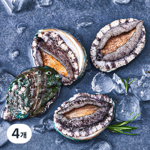 아라보감 완도 산지직송 전복 (냉장), 300g 내외(대, 4마리), 4개
