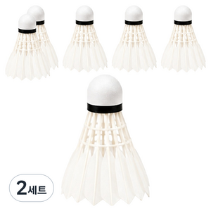 플레이픽 레저용 거위털 셔틀콕, White, 6개입, 2세트