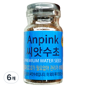 모비딕 안핑크 씨앗수초 S, 6개