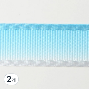 패션포인트 양변사골직 투톤전사 리본 GEL-PR 50야드 15mm, NO 7, 2개