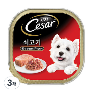 시저 1세 이상 어덜트 강아지 주식캔, 소, 100g, 3개