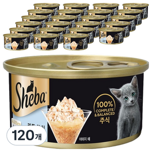 쉬바 고양이 키튼 참치와 그레이비소스 주식캔, 참치, 85g, 120개