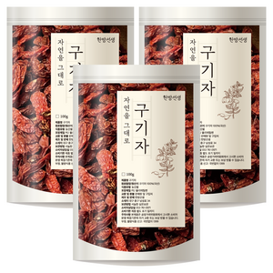 한방선생 국내산 건 구기자, 100g, 3개
