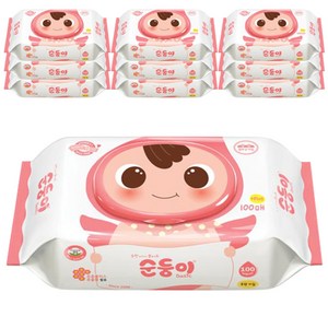 순둥이 베이직 무향 유아물티슈 캡형, 55g, 100개입, 10개