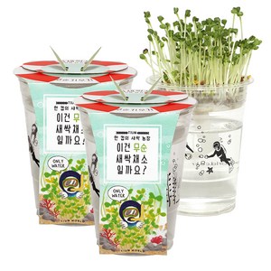 틔움세상 한컵새싹농장 텃밭가꾸기 2세트, 무순