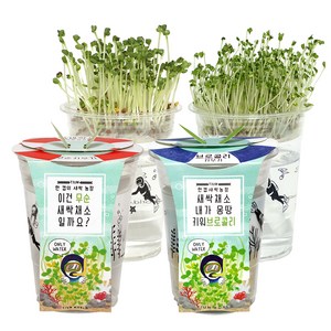 틔움세상 한컵새싹농장 새싹채소 키우기 세트, 무순 + 브로콜리