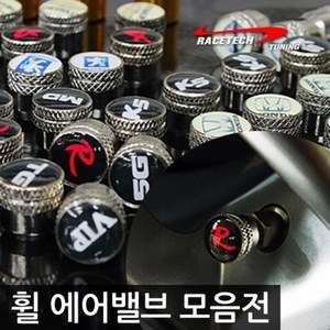 레이스텍 티몰 프리미엄 에어밸브, 싼타페DM, 1개