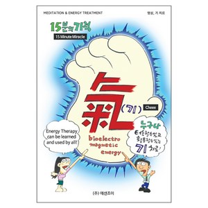 15분의 기적:명상 기 치료, 에센조이, 김종철 글/이정문 그림