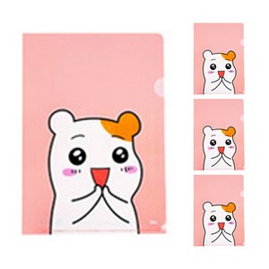 아이비스 에비츄L 홀더 EB 10p 세트, 랜덤 발송, 1세트