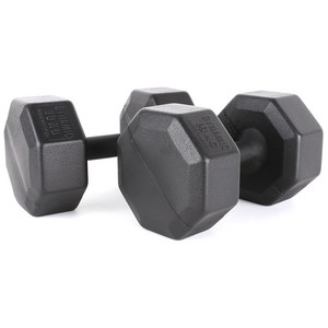 아리프 다이나믹 옥타곤 아령, 10kg, 2개