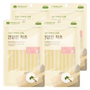 네츄럴랩 강아지 건강한 치즈 간식, 요거트 스틱, 100g, 4개