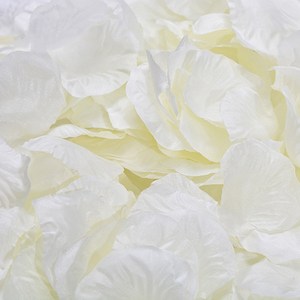 파티복닷컴 파티용 장미꽃잎, 밀크, 1세트