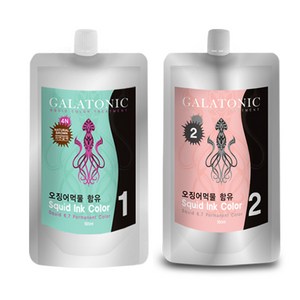 갈라토닉 스퀴드 잉크 칼라 새치염색제 1제 500ml + 2제 500ml, 4N자연갈색, 1개