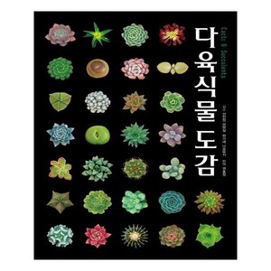다육식물도감, 유나