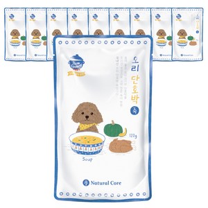 네츄럴코어 강아지 보양죽, 오리 + 단호박 혼합맛, 120g, 10개