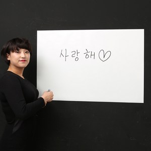 무광 보드시트지 + 밀대 + 지우대 + 전용마카, 화이트시트지, 90 x 60 cm