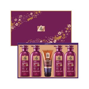 려 자양윤모 헤어 선물세트 + 쇼핑백, 1세트