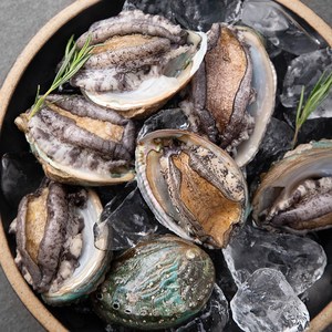 아라보감 산소 품은 국산 전복, 500g(중,6-7미), 1개