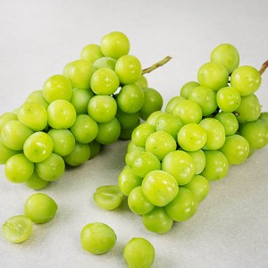 산지직송 아주마 비파괴 당도선별 영동 상주산 샤인머스켓, 1.5kg, 1박스 골드박스 특가