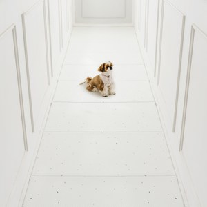 디팡 강아지 고양이 미끄럼방지매트 100폭, 테라조 화이트, 1개