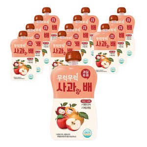 이유케어스 유아용 무럭무럭 과일 퓨레, 사과 + 배 혼합맛, 12개, 100g