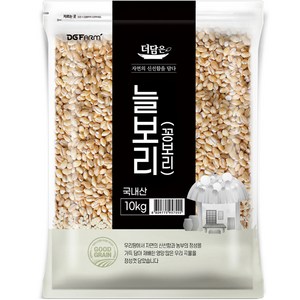 더담은 국산 늘보리 꽁보리, 10kg, 1개