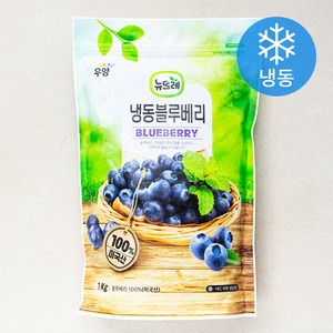 뉴뜨레 냉동 블루베리 (냉동), 1kg, 1개 골드박스 특가