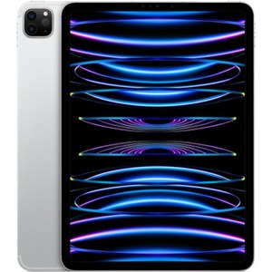 Apple 정품 2022 아이패드 프로 11 4세대 M2칩, 실버, 2TB, Wi-Fi